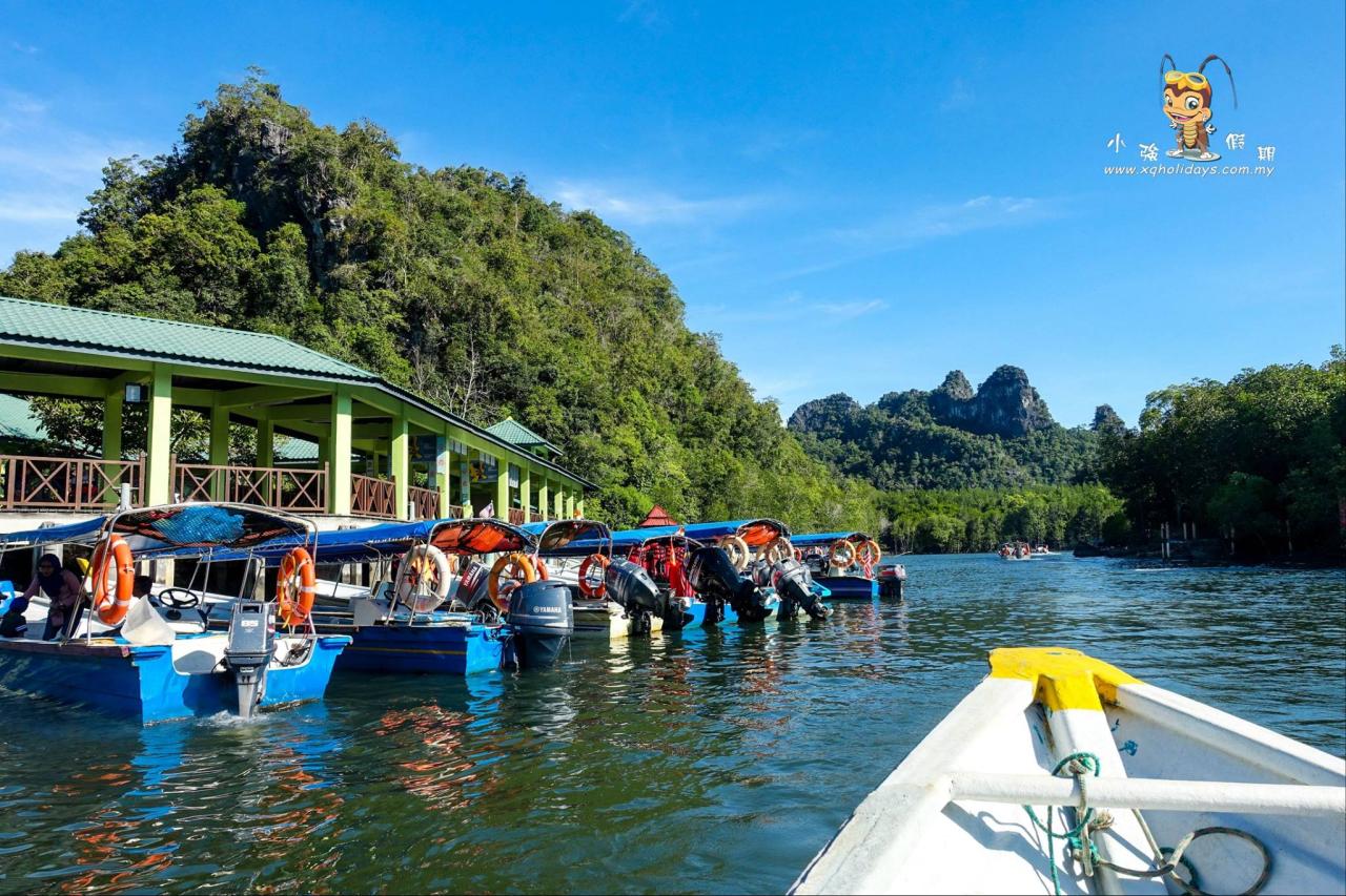 Jelajahi Keajaiban Mangrove Tour Langkawi