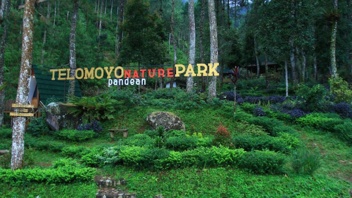 Telomoyo Nature Park: Destinasi Menakjubkan di Lereng Merapi dan Merbabu